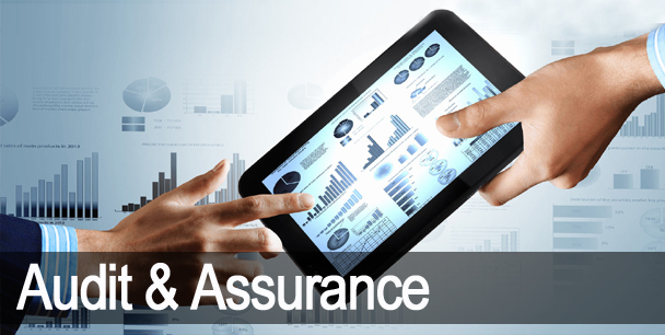 Audit and Assurance – EXL Auditing, a professionally managed Accounting ...